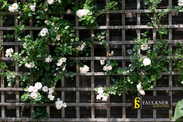 Can I put trellis on my Neighbours garage wall? 2 Do you want to adapt your neighbours garage door and add a trellis Reigate? Talk to Faulkner Surveyor Reigate